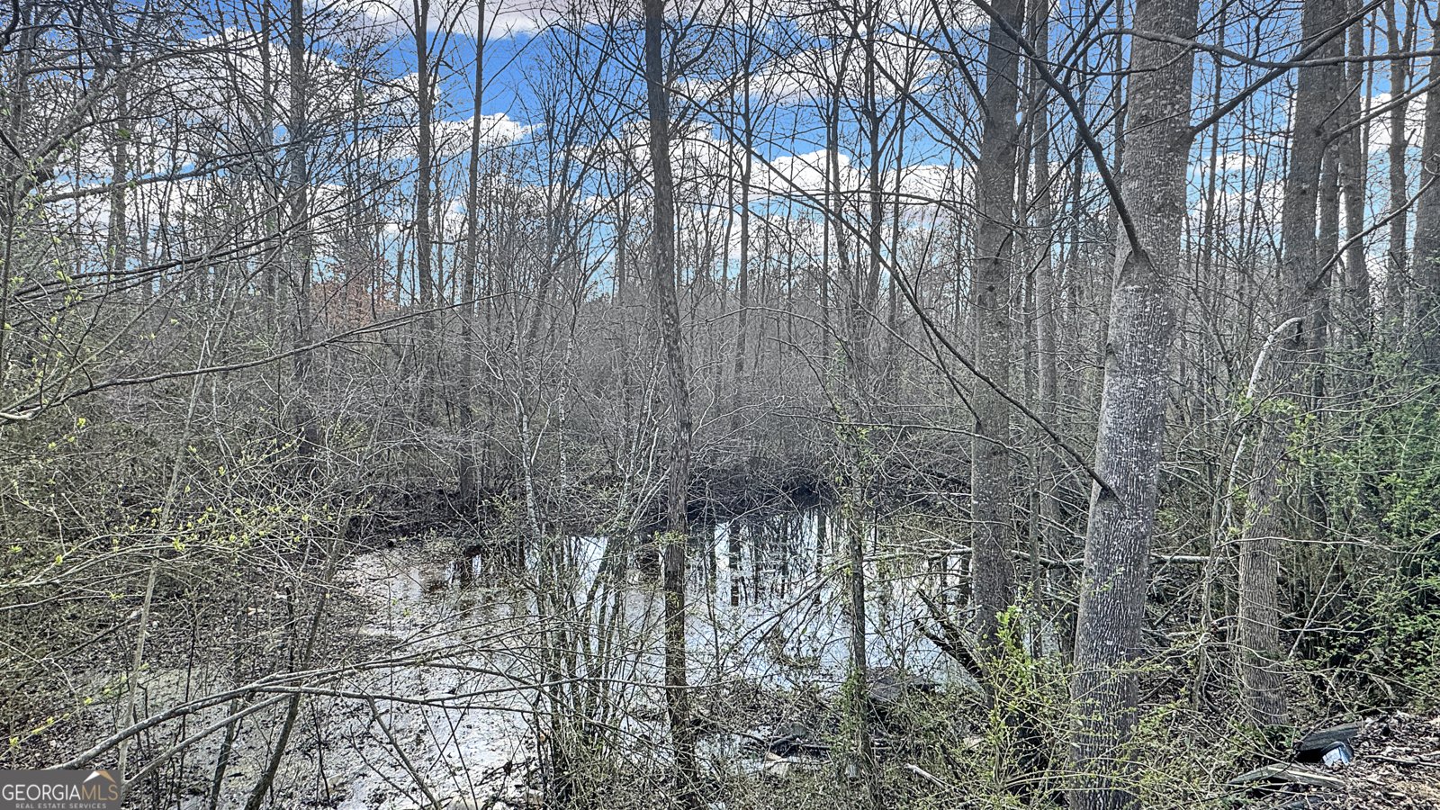 1203 Co Rd 49 Ranburne - 14