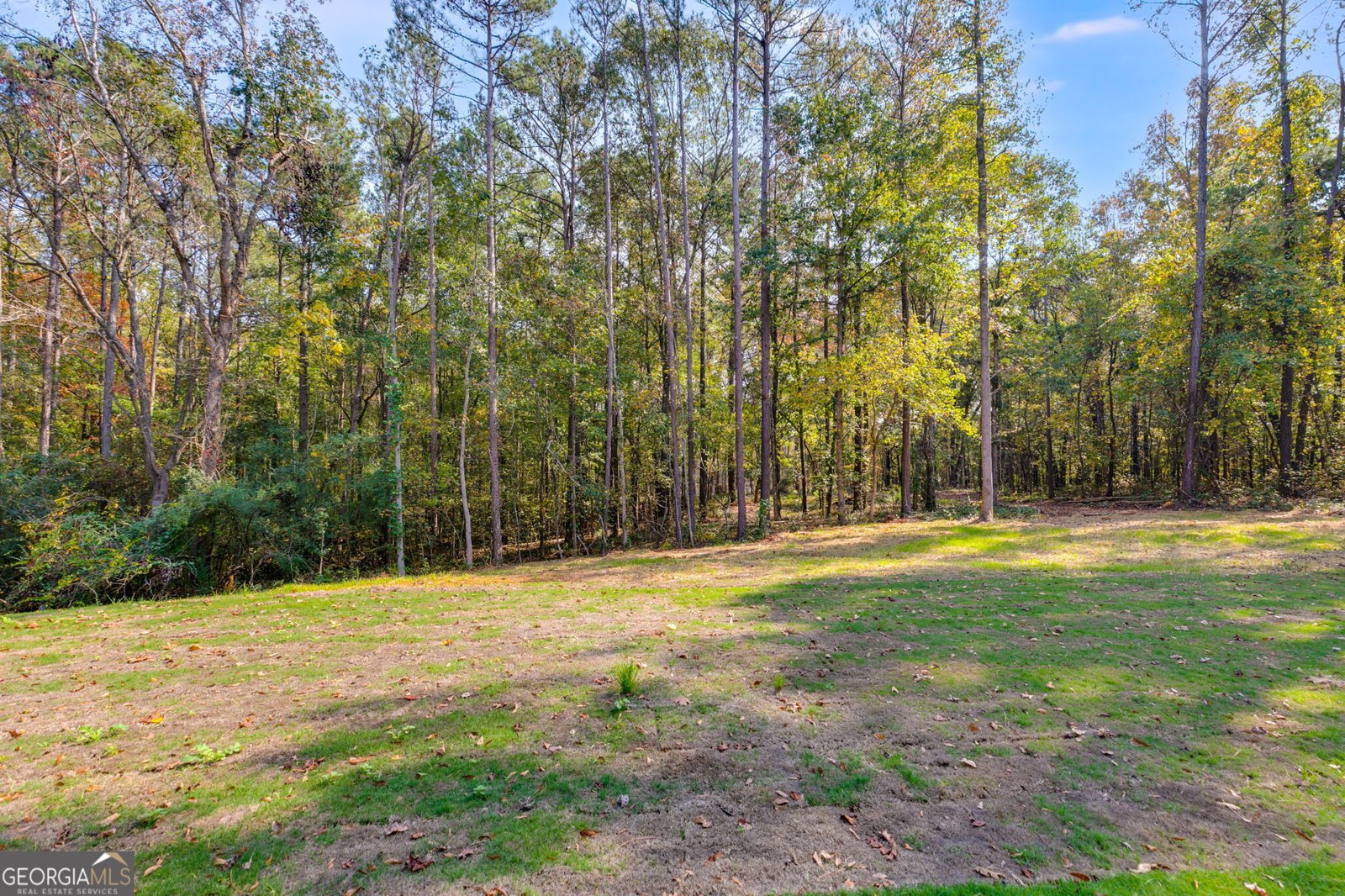 831 Banks Circle Carrollton - 45