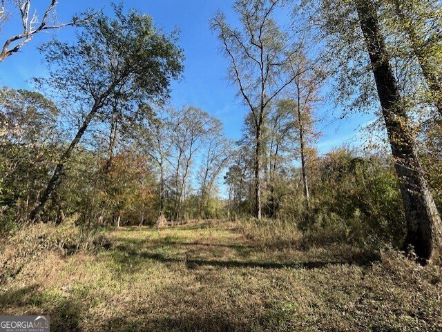 289 Hunting Club Road Crawfordville - Photo 17