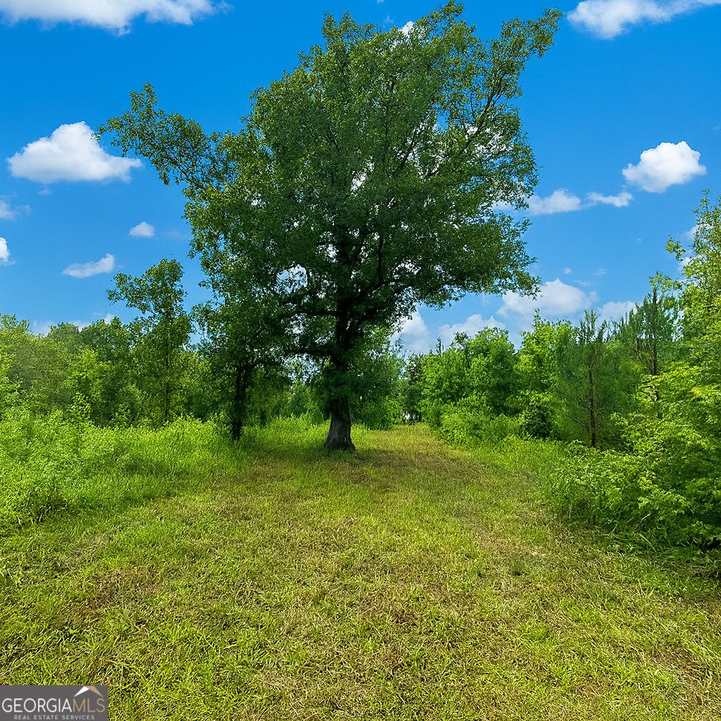 289 Hunting Club Road Crawfordville - Photo 19