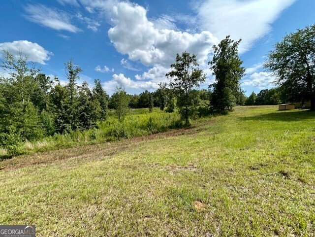 289 Hunting Club Road Crawfordville - Photo 8