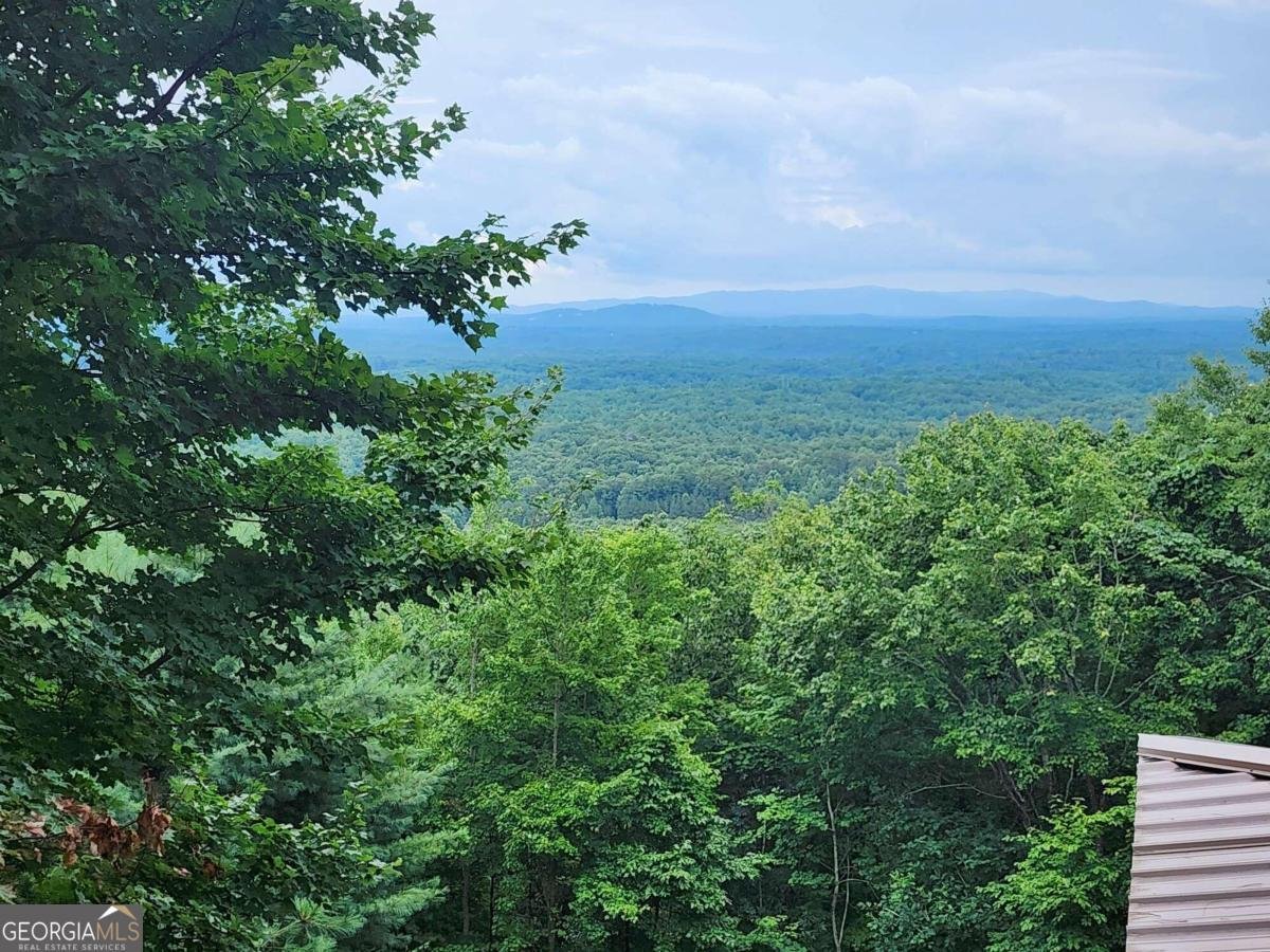 870 Morton Drive Ellijay - 26