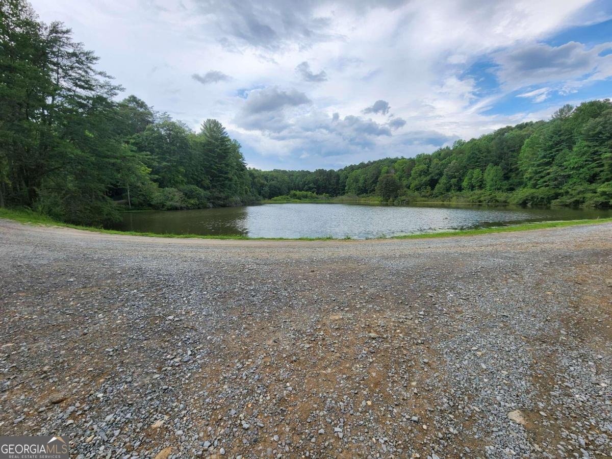 870 Morton Drive Ellijay - 28