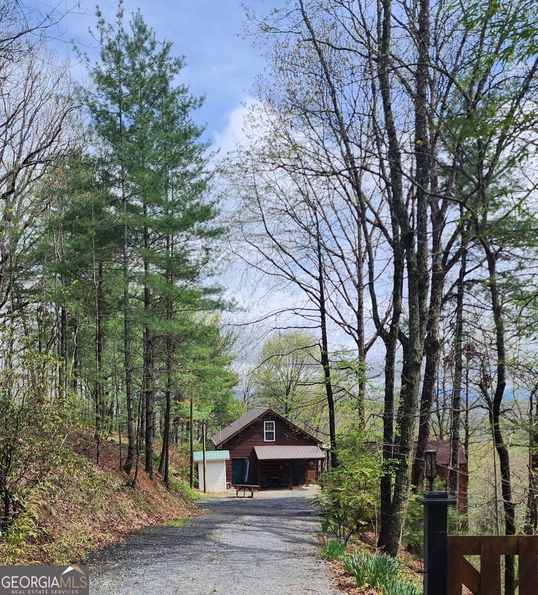 870 Morton Drive Ellijay - 3