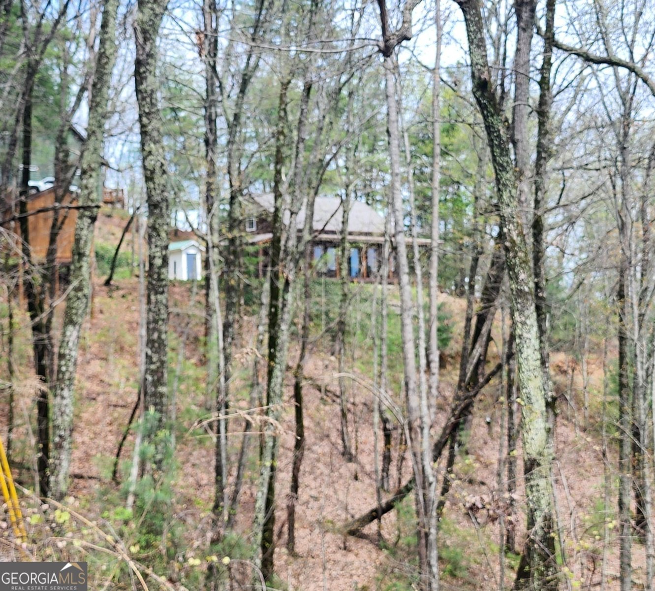 870 Morton Drive Ellijay - 5