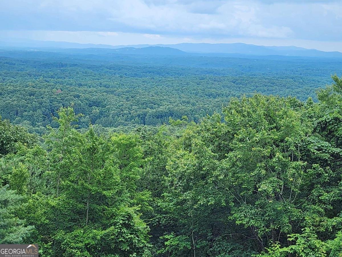870 Morton Drive Ellijay - 6