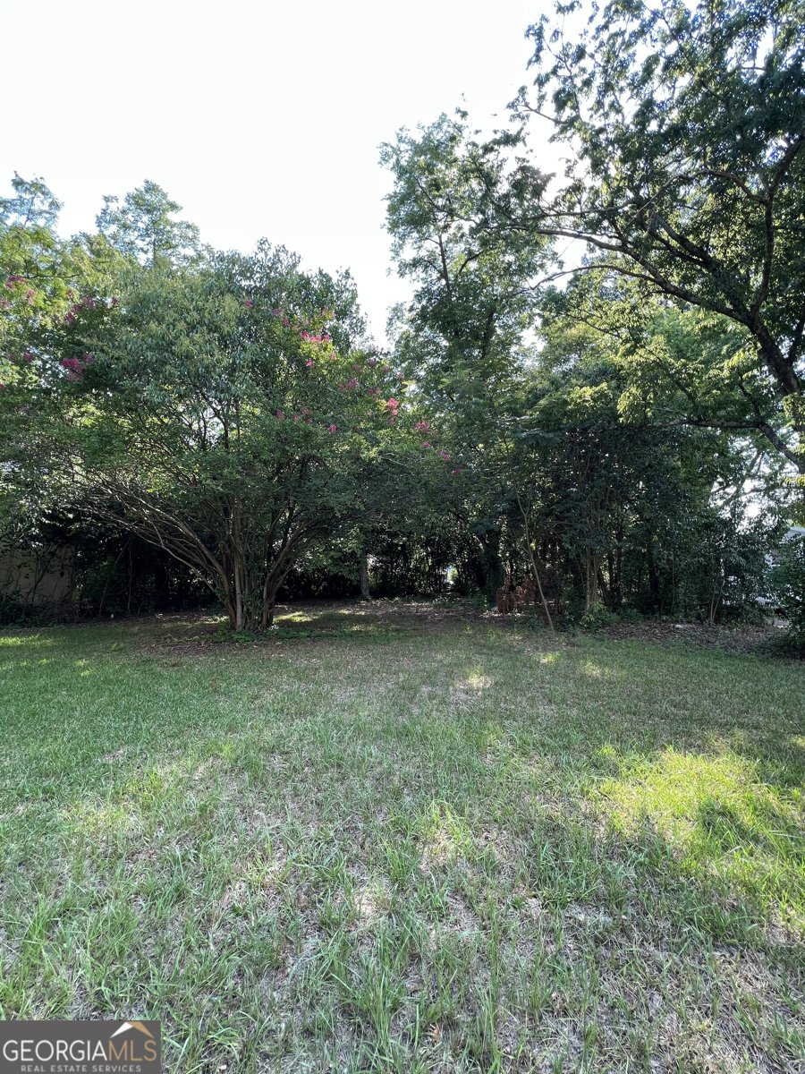4385 Mikado Avenue Macon - 5