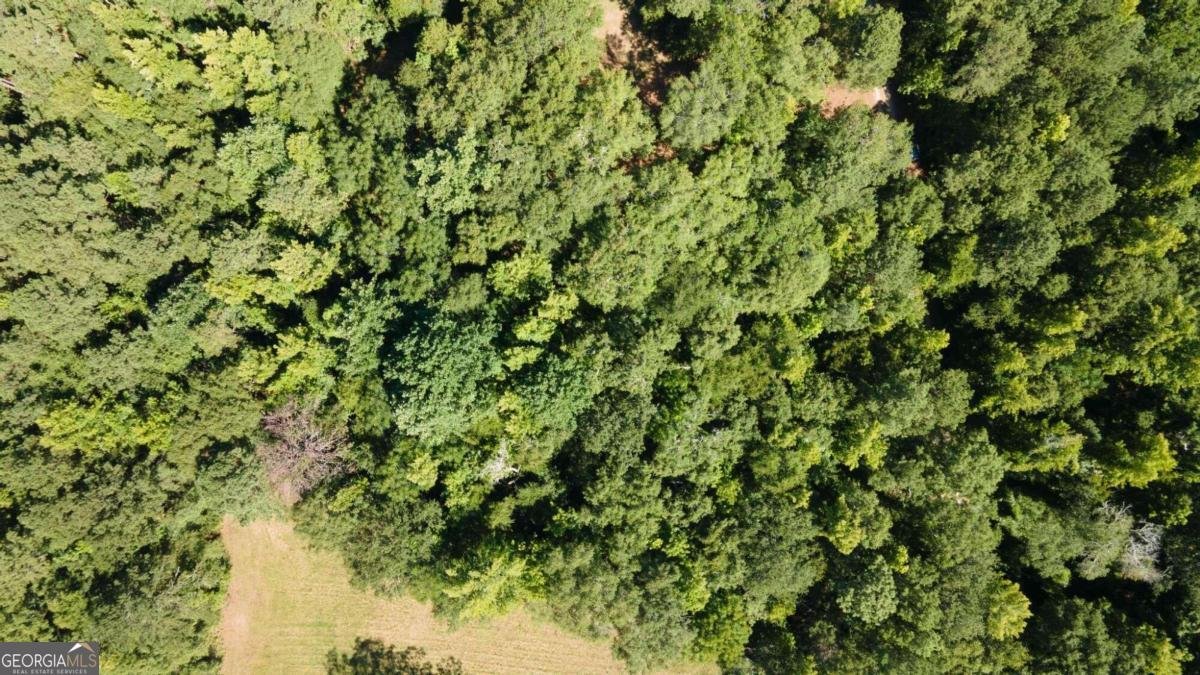 637 HOLLOWAY Hollow Monticello - 38