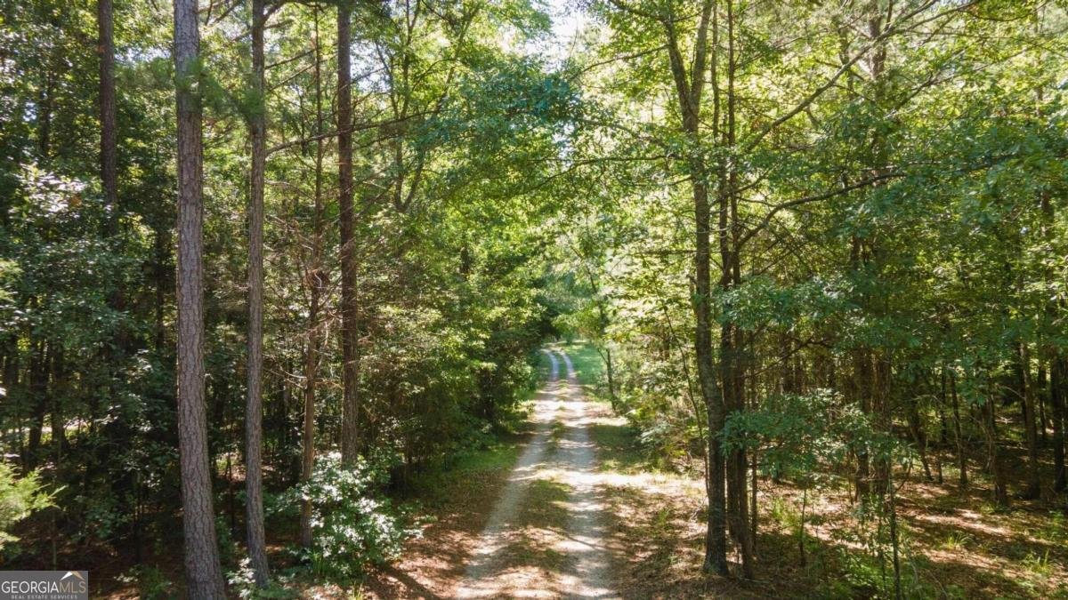 637 HOLLOWAY Hollow Monticello - 41