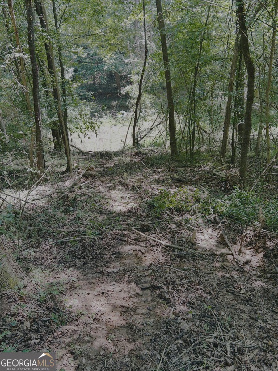 4542 Hall Road Gainesville - 10