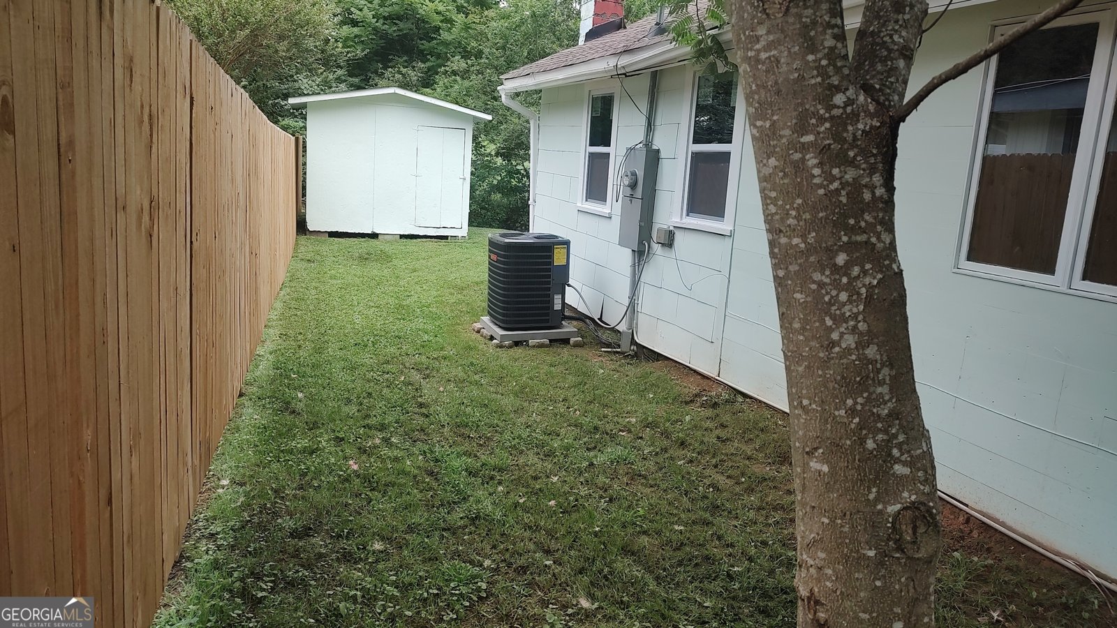 211 Blair Street Tiger - 21