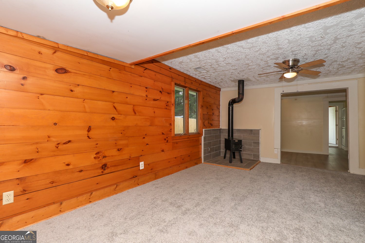 211 Blair Street Tiger - 6