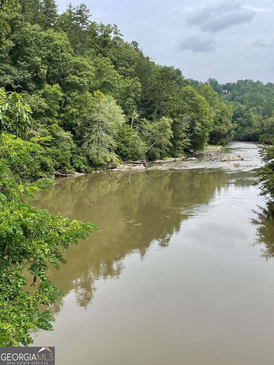 383 Acadia Drive Ellijay - 35