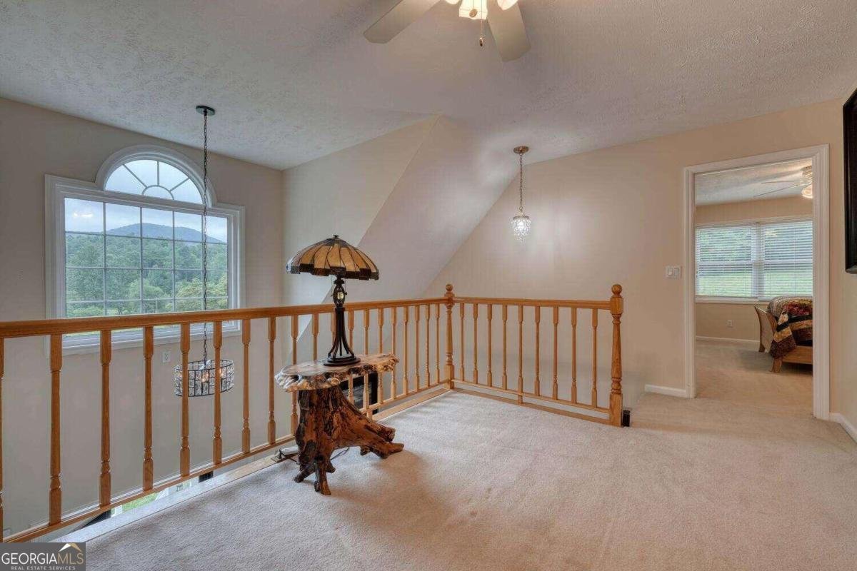 946 Barefoot Road Hiawassee - 26