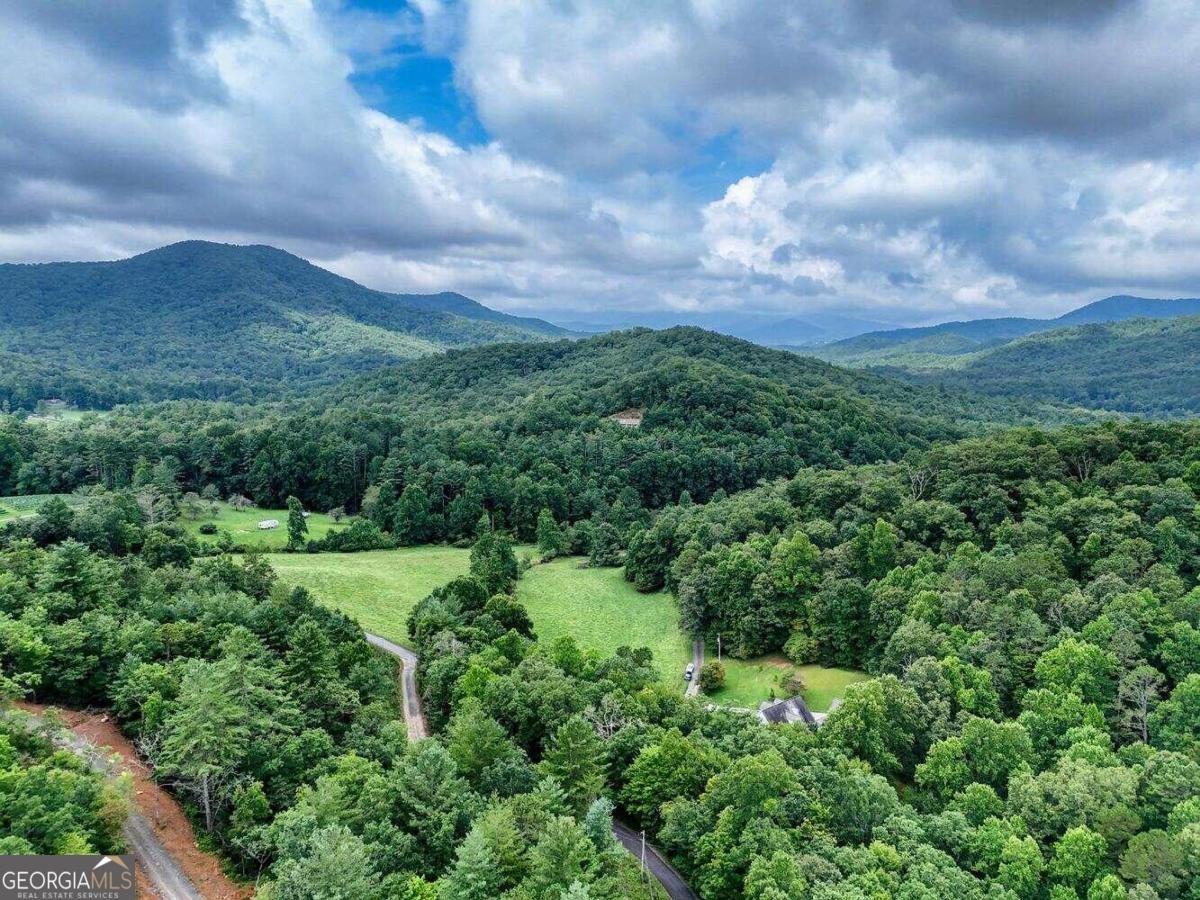 946 Barefoot Road Hiawassee - 46