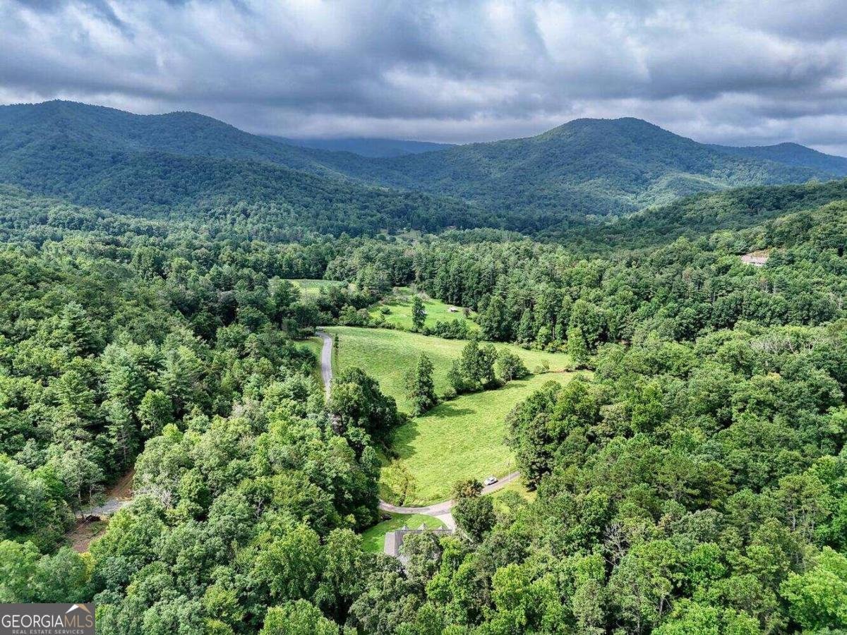 946 Barefoot Road Hiawassee - 58
