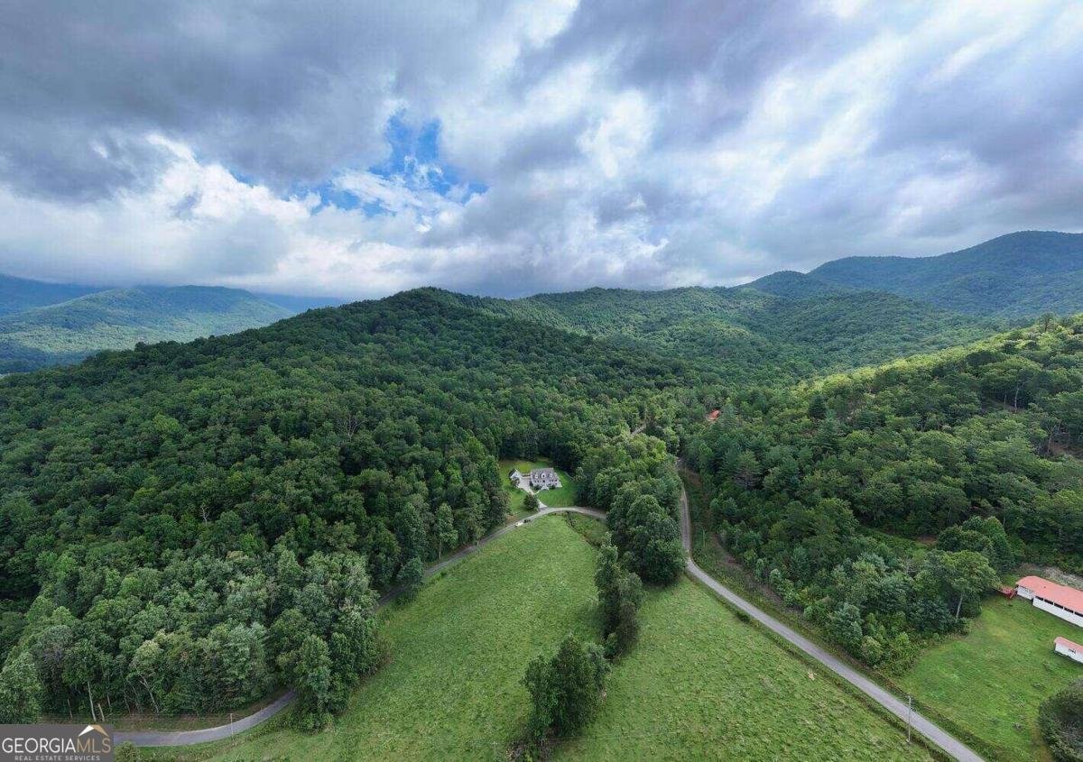 946 Barefoot Road Hiawassee - 60