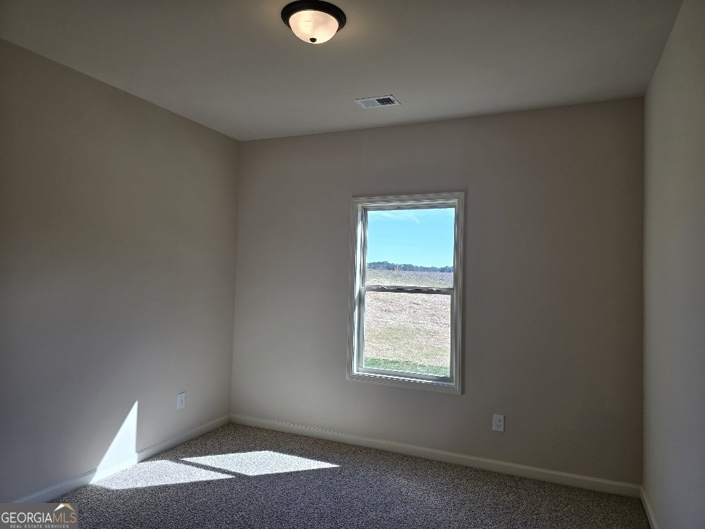 1786 McIntosh Road Griffin - 18