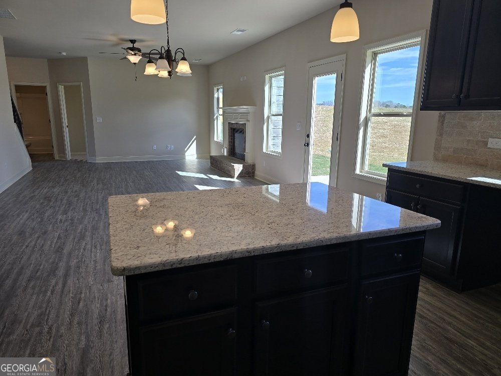 1786 McIntosh Road Griffin - 38
