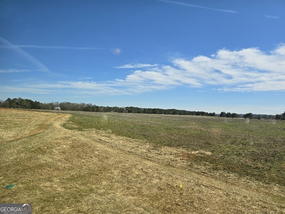 1786 McIntosh Road Griffin - 80