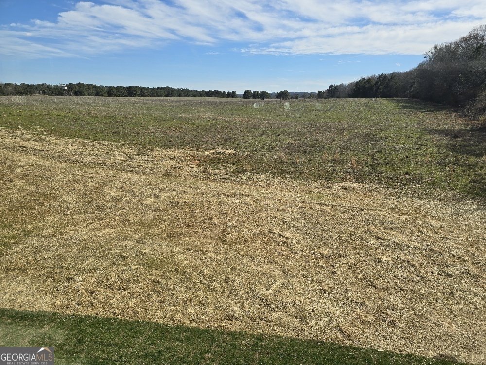 1786 McIntosh Road Griffin - 81