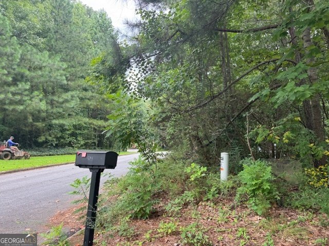 1809 Silver Ridge Court Stone Mountain - 3