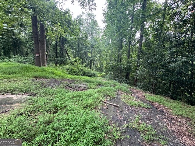 1809 Silver Ridge Court Stone Mountain - 8