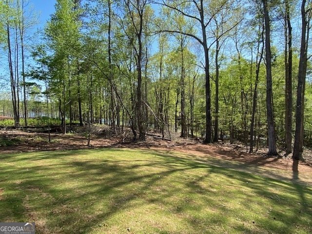LOT 170 SNUG HARBOR PLACE Newnan - 24