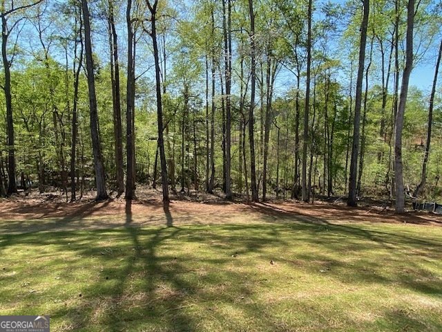 LOT 170 SNUG HARBOR PLACE Newnan - 25