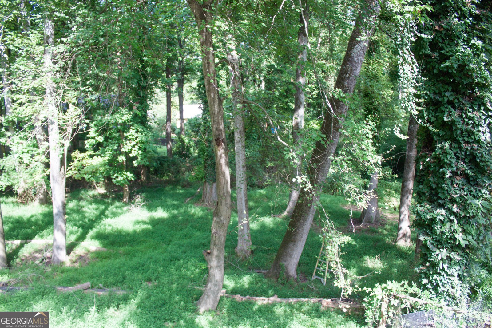 140 Breckenridge Lane Athens - 14