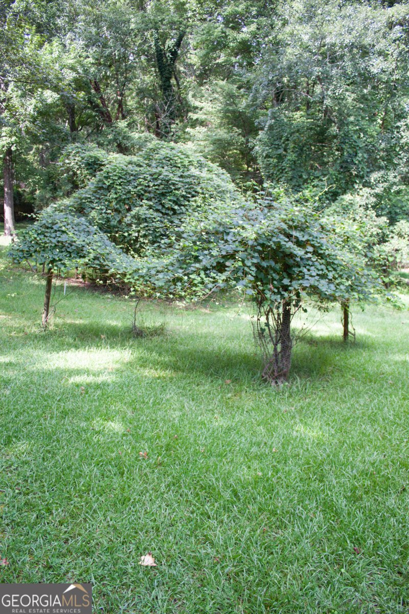 140 Breckenridge Lane Athens - 15