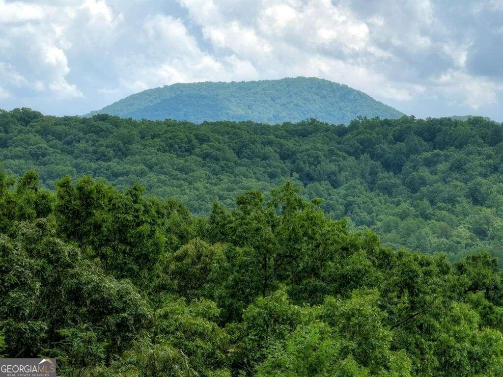 337 Fawn Trail Morganton - 3