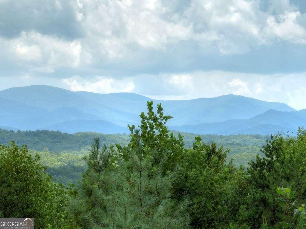 337 Fawn Trail Morganton - 4