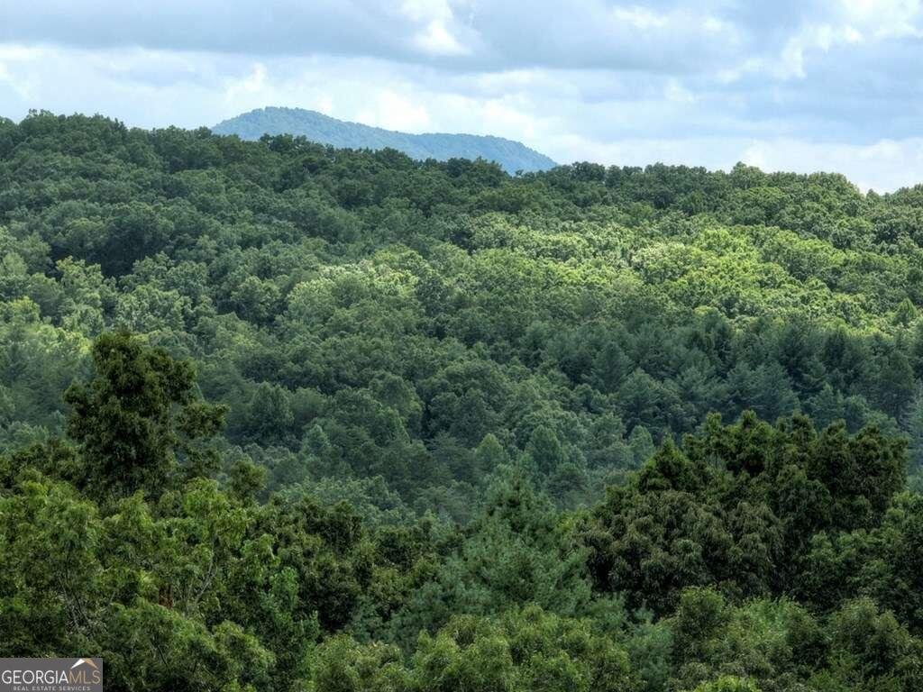 337 Fawn Trail Morganton - 6