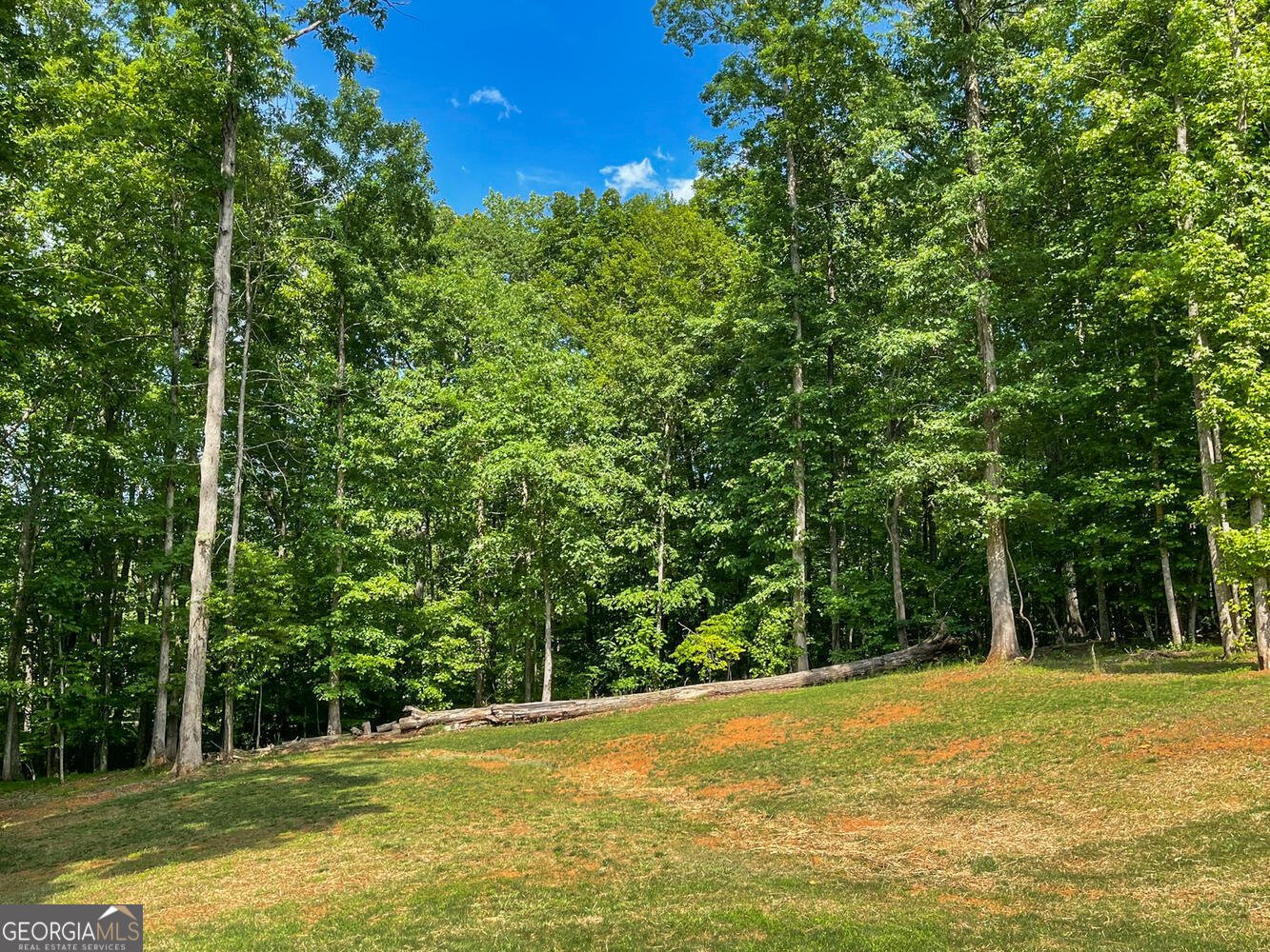 5354 Shadow Walk Way Gainesville - 105