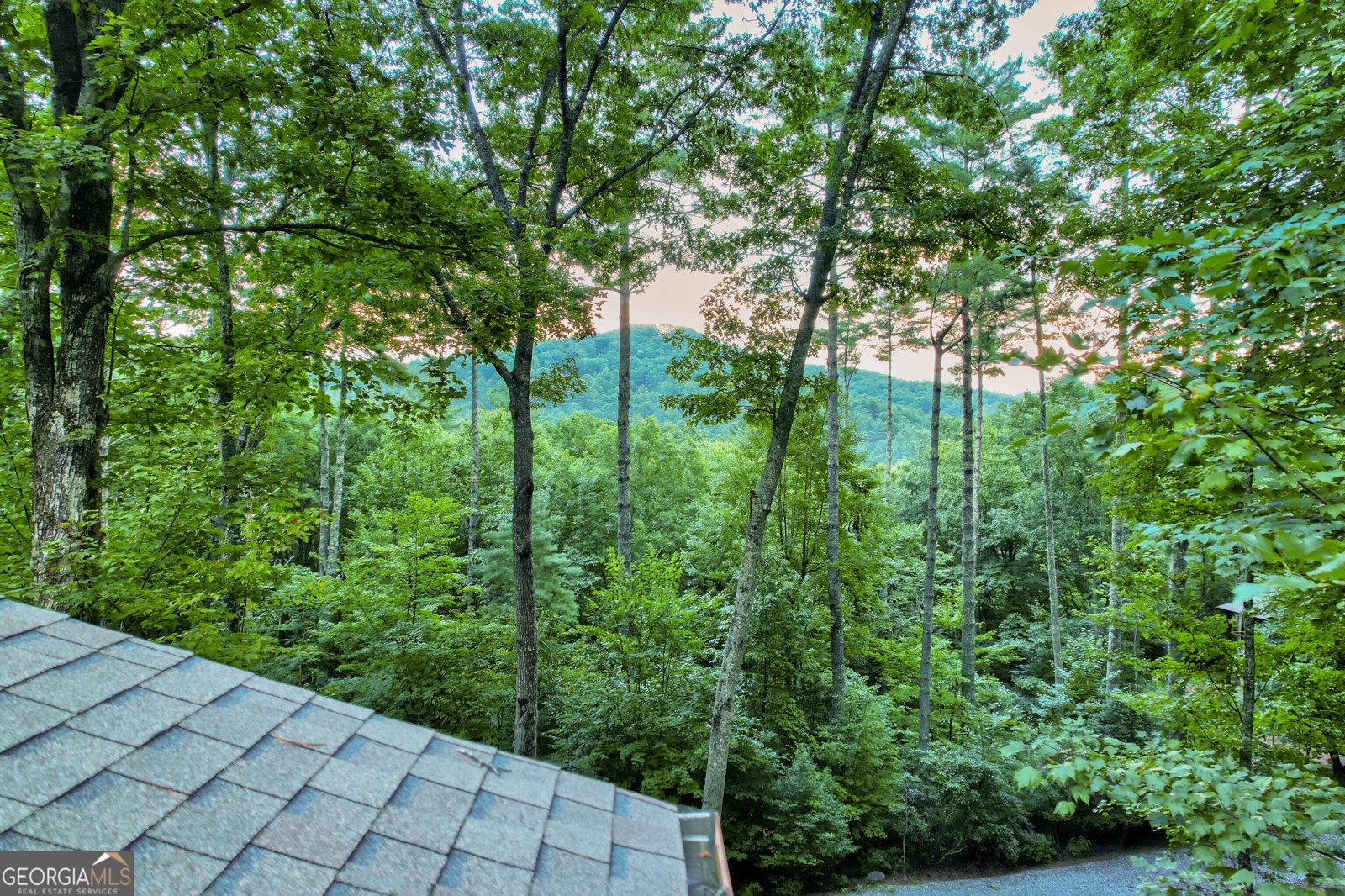 131 Forest Branch Trail Cherry Log - 53