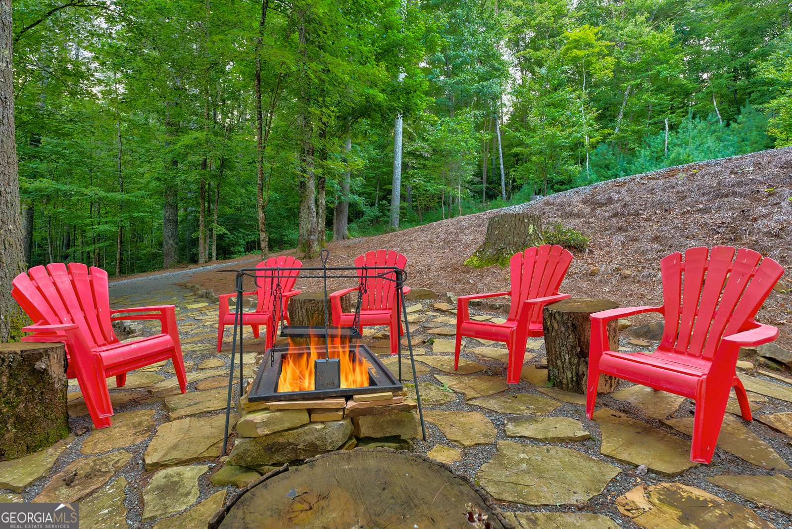 131 Forest Branch Trail Cherry Log - 66