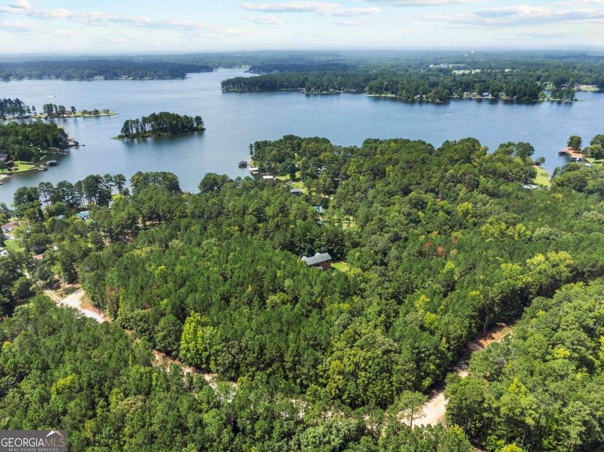 225 Big Oconee River Road Sparta - 24