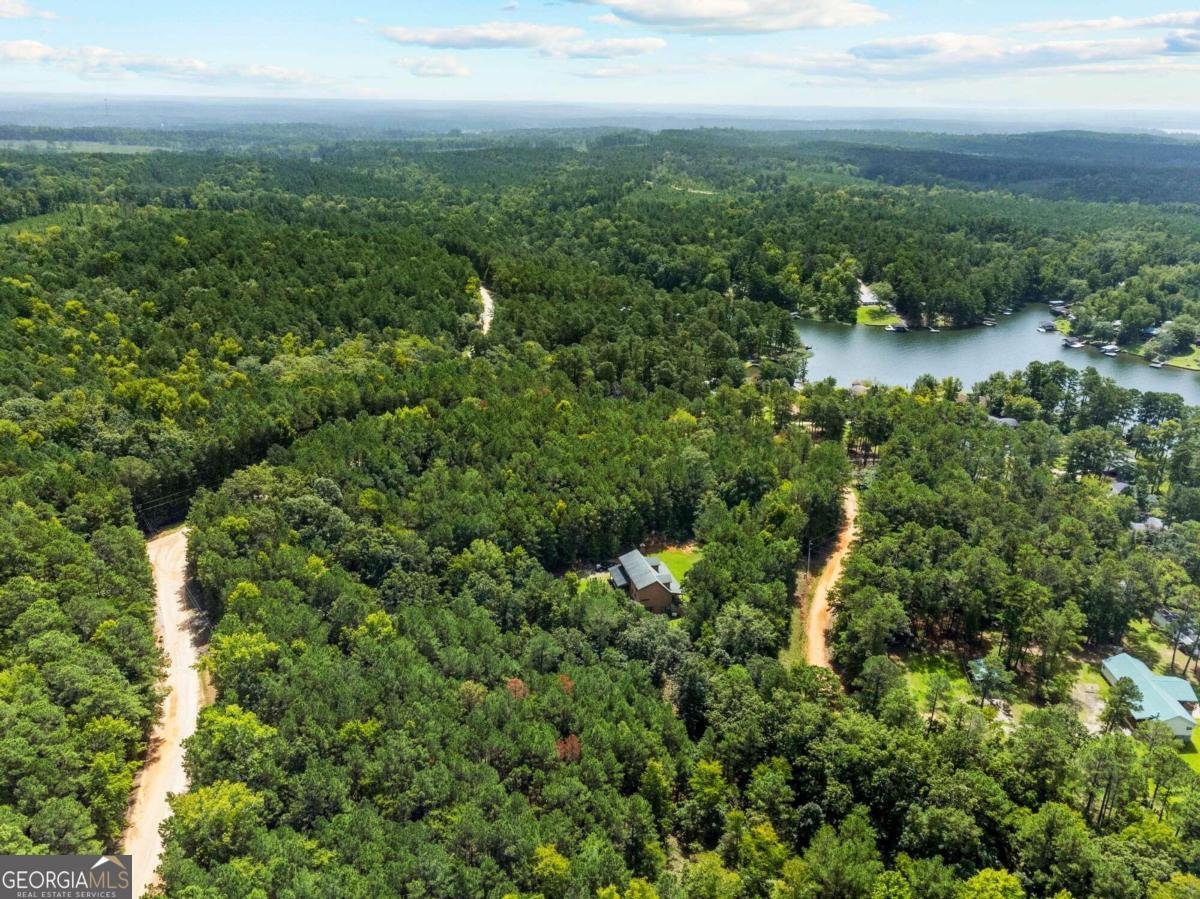 225 Big Oconee River Road Sparta - 43