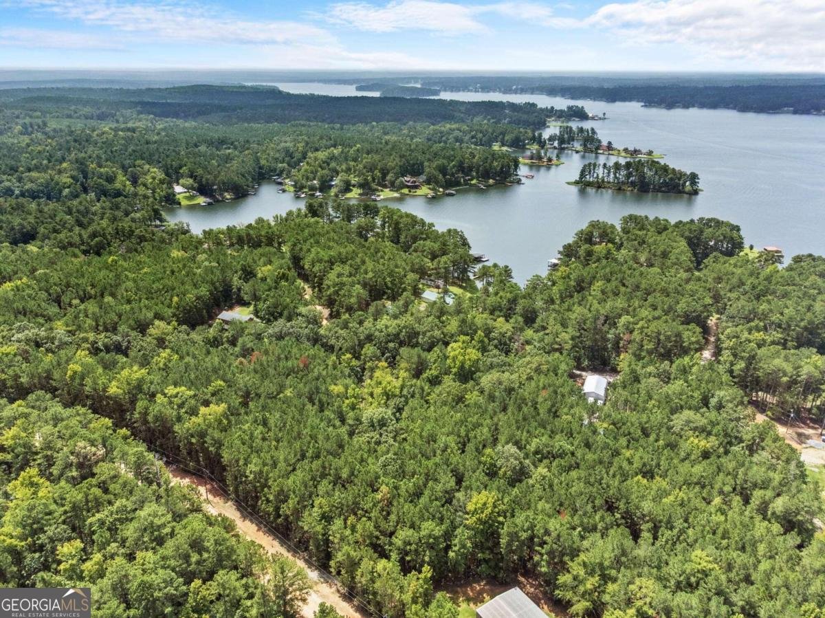 255 Big Oconee River Road Sparta - 14