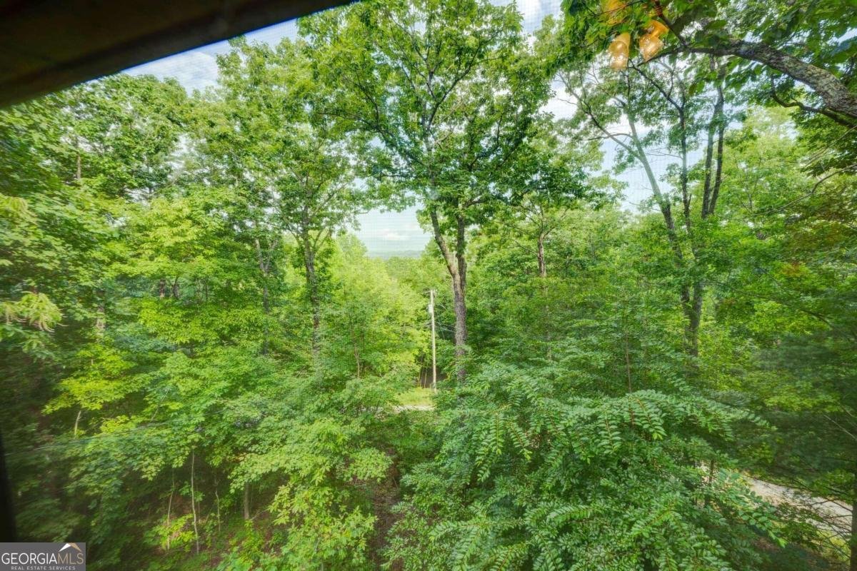 652 Fox Run Drive Blue Ridge - 15
