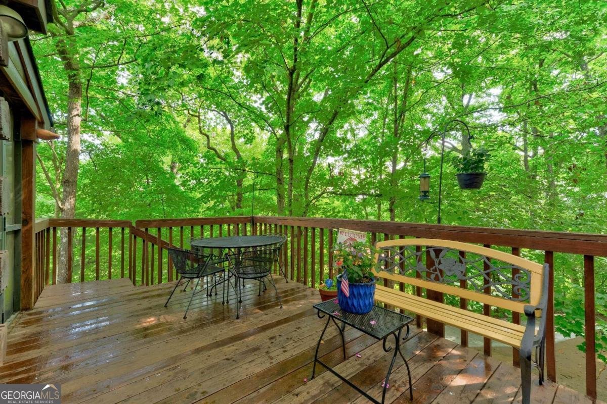 652 Fox Run Drive Blue Ridge - 17