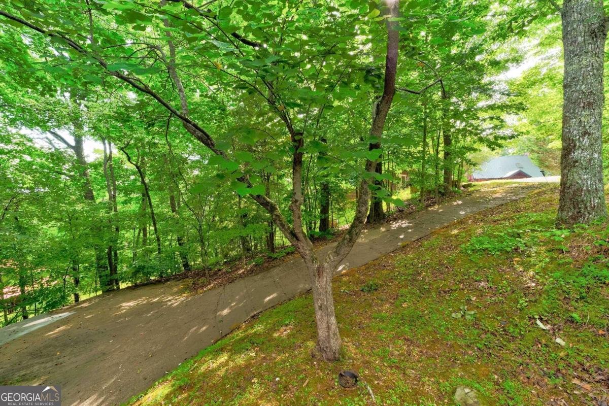 652 Fox Run Drive Blue Ridge - 39