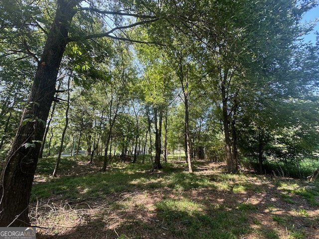 2709 Washington Highway Elberton - 22