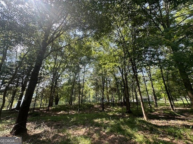2709 Washington Highway Elberton - 27