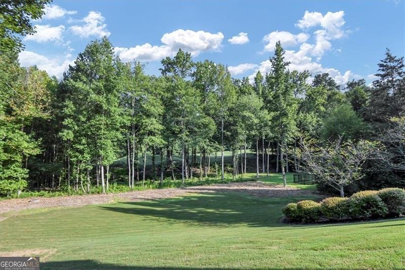 4317 OGLETHORPE Loop Acworth - 67
