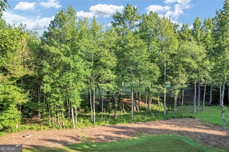 4317 OGLETHORPE Loop Acworth - 72