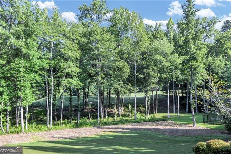 4317 OGLETHORPE Loop Acworth - 75