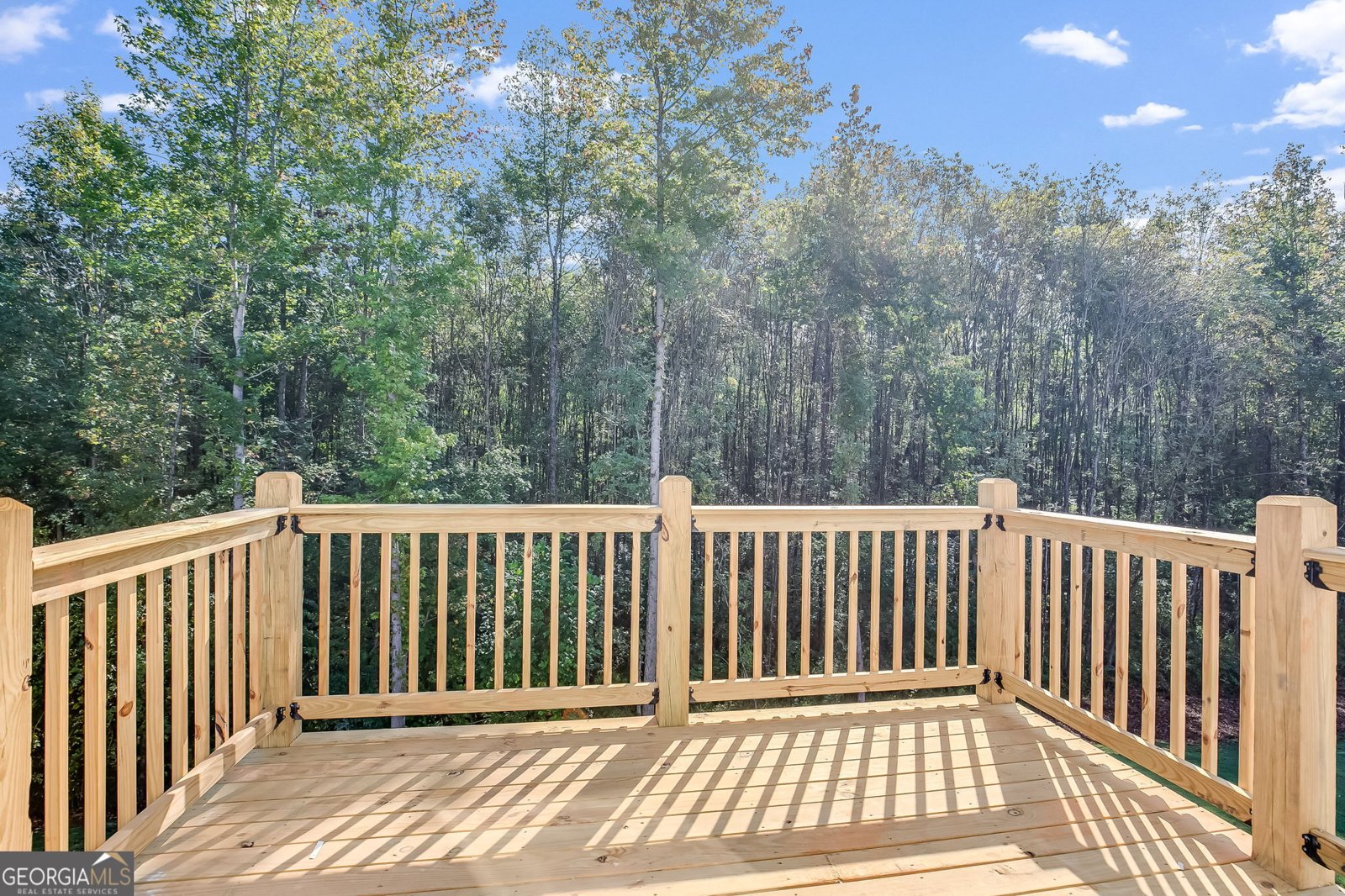 113 Cresthaven Drive Carrollton - 10