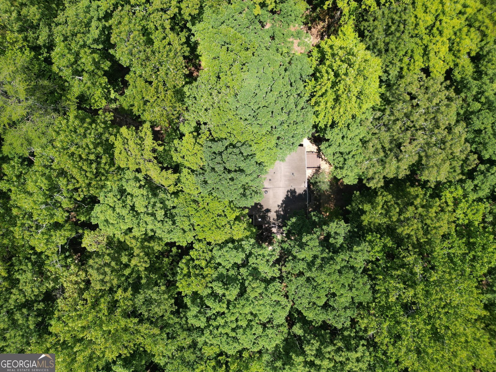 200 Cherokee Drive Waleska - 21